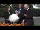 Joe Biden gracie les dindes de Thanksgiving à la Maison Blanche