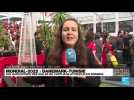 Danemark-Tunisie : l'enthousiasme des supporters à Tunis
