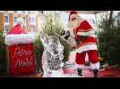 Sambre - Avesnois : les marchés de Noël proposés en novembre