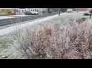 Neige Reims