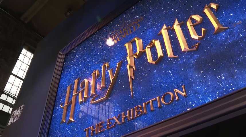 Un rare exemplaire de la première édition de Harry Potter à vendre :  230.000 euros, prix de départ