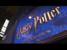 Autriche: l'exposition Harry Potter ouvre au public à Vienne