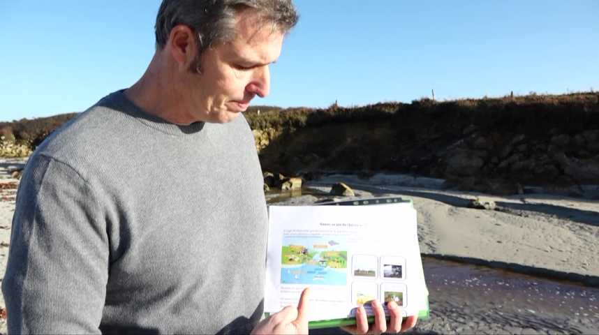 Thumbnail Qualité de l'eau de baignade : les associations répondent au préfet du Finistère