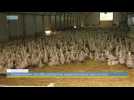 Grippe aviaire : un vide sanitaire en expérimentation dans dix communes du Gers