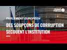 VIDÉO. Les soupçons de corruption sur l'ex vice-présidente Eva Kaili secouent le Parlement européen