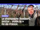 Vignoble : du champagne « made in » Ile-de-France