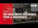 VIDÉO. La COP 15 délivre un accord historique pour la biodiversité