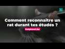 Comment reconnaitre un rat durant tes études