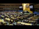 Guerre en Ukraine : l'Assemblée générale de l'ONU exige le retrait russe
