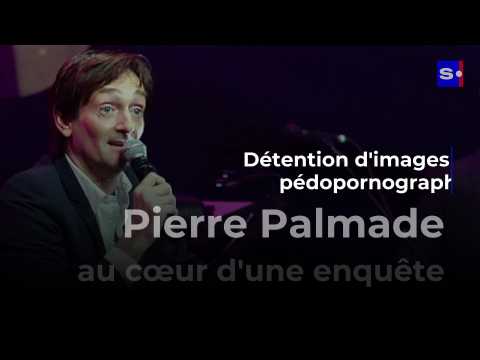 VIDEO : Pierre Palmade au c?ur d'une enqute pour dtention d'images pdopornographiques