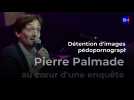Pierre Palmade au coeur d'une enquête pour détention d'images pédopornographiques