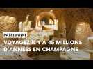 La Cave aux coquillages, une plage tropicale en Champagne