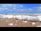 800 kg de cocaïne échoués sur une plage de la Manche