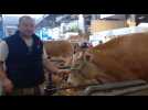 Hautes-Pyrénées : un éleveur et sa blonde d'Aquitaine au salon de l'agriculture à Paris