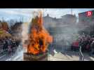 Tarn : le Carnaval des enfants à Albi a battu son plein ce mercredi