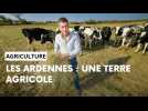 Ardennes: les chiffres clés de l'agriculture