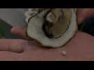 Sambre-Avesnois : encore une perle dans une huître !