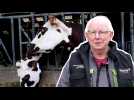 VIDÉO. Salon de l'agriculture : avec ses vaches Oseille et Pataya, Jacques  »