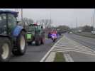 Des colonnes de tracteurs d'agriculteurs flamands à Bruxelles