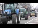Des milliers d'agriculteurs flamands manifestent en tracteur à Bruxelles