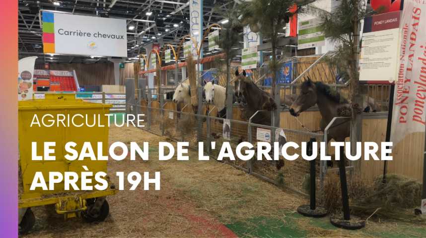 Elle s'appelle Oreillette : cette vache de race normande sera l'égérie du  prochain Salon de l'agriculture - Paris-Normandie