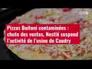 VIDÉO. Pizzas Buitoni contaminées : chute des ventes, Nestlé suspend l'activité de l'usine de Caudry