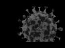 Papillomavirus, un virus à éradiquer