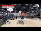 VIDÉO. Salon de l'agriculture : le Porc de Bayeux au Concours général agricole de Paris