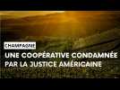 Champagne: la justice américaine condamne une coopérative marnaise à payer 2,3 millions de dollars