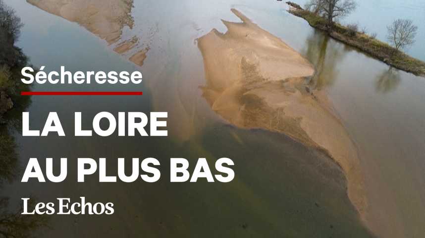 Illustration pour la vidéo La Loire, victime de la sécheresse hivernale