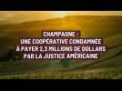 Champagne : une coopérative condamnée à payer 2,3 millions de dollars par la justice américaine