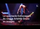 Arras : le spectacle extravagant du cirque Arlette-Gruss