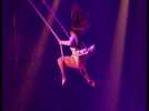 Arras : extravagant , le nouveau spectacle du cirque Arlette-Gruss