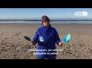 VIDÉO. Comment ramasser des microbilles de plastique sur une plage ?
