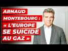 Arnaud Montebourg : « L'Europe se suicide au gaz »