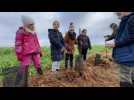 Les enfants d'une école de Sézanne plantent des arbres