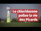 Le chloridazone pollue la vie des Picards