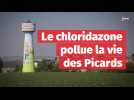 Le chloridazone pollue la vie des Axonnais et du reste des Hauts-de-France