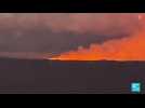 Hawaii's Mauna Loa, world's largest volcano, erupts for first time in decades