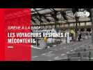 VIDEO. Grève à la SNCF. Le mécontentement des voyageurs