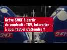 VIDÉO. Grève SNCF à partir de vendredi : TGV, Intercités... à quoi faut-il s'attendre ?