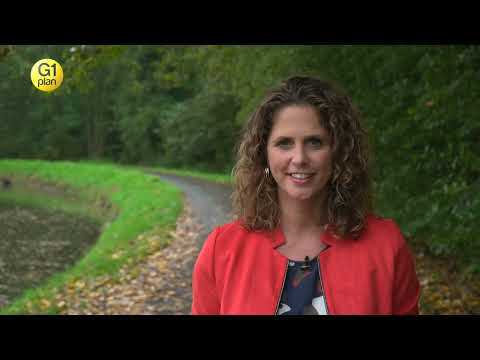 G1Plan - Primes temporaires pour le placement de systèmes de chauffage et/ou d’eau chaude sanitaire