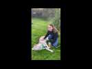 Holque : Charlotte se reconvertit dans la médiation animale après sa rencontre avec un husky