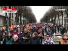 VIDÉO. La foule contre la réforme des retraites sur le boulevard du Roi René a Angers