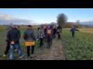 Projet sente cauchoise La Paysagerie en Caux