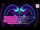 Horoscope du jour du mardi 31 janvier 2023