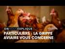 Particuliers : la grippe aviaire vous concerne