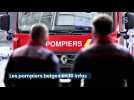Les pompiers belges en dix infos