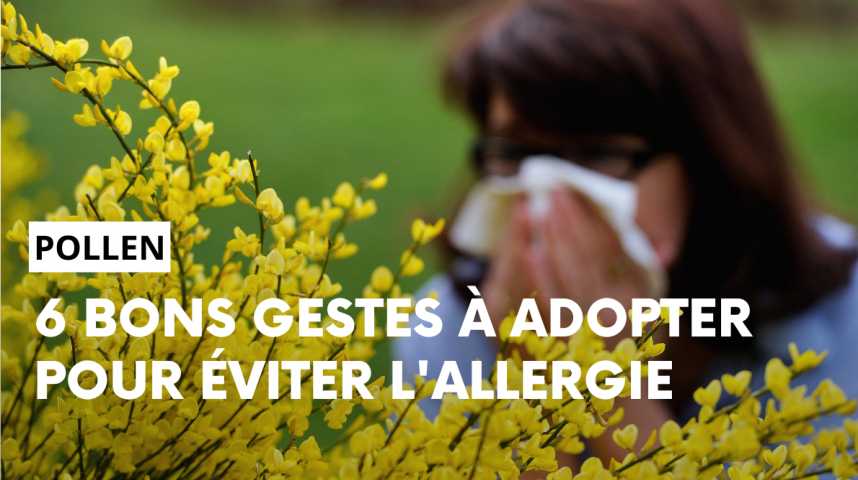 Vidéos : Guide de survie contre les allergies au pollen - L'Est éclair