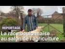 Baptiste Quevallier ira représenter la race boulonnaise au salon de l'agriculture